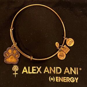 Alex and Ani Prints of Love Bracelet.